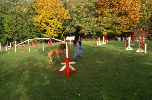 agility 2011-10-30